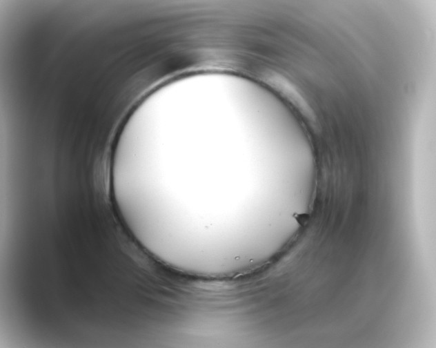 X0000088681276200706211902