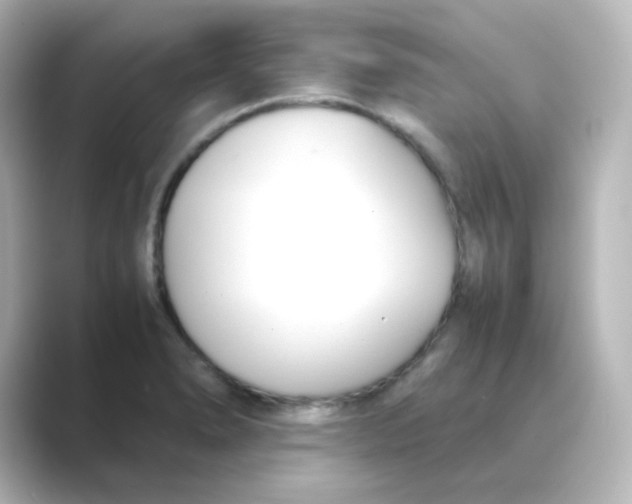 X0000088681278200706211902