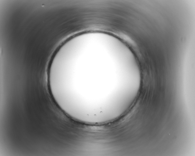 X0000088681280200706211902