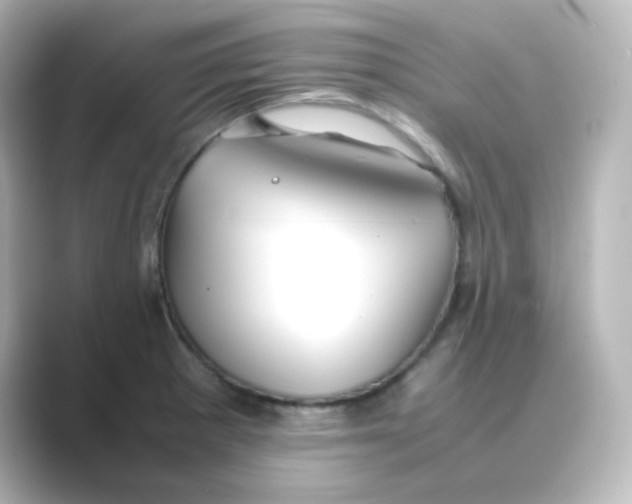 X0000088681281200706211902