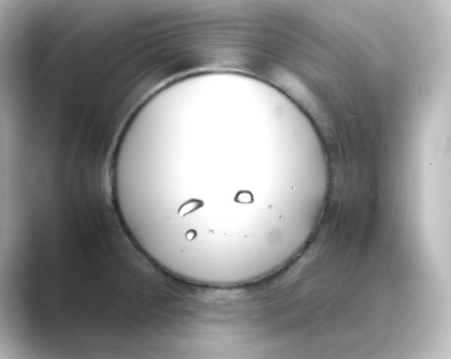 X0000088681284200706211902
