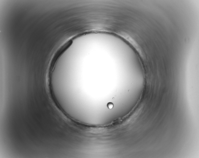 X0000088681285200706211902