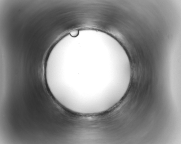 X0000088681286200706211902