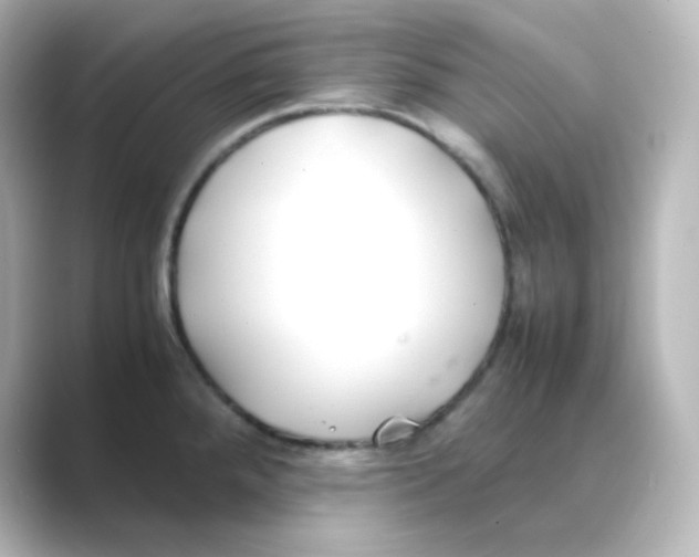 X0000088681288200706211902