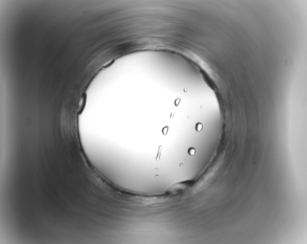 X0000088681289200706211902
