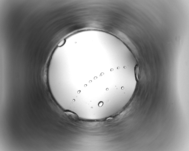 X0000088681292200706211902