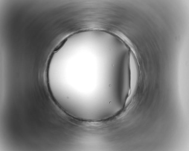 X0000088681293200706211902