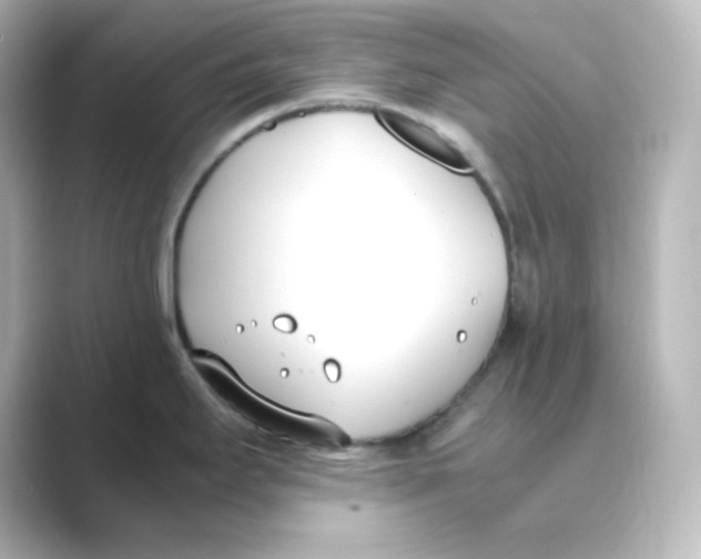 X0000088681295200706211902