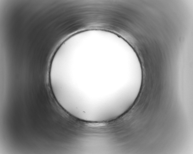 X0000088681296200706211902