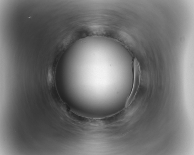 X0000088681298200706211901