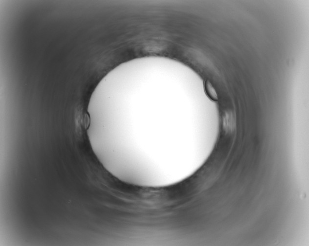 X0000088681299200706211901