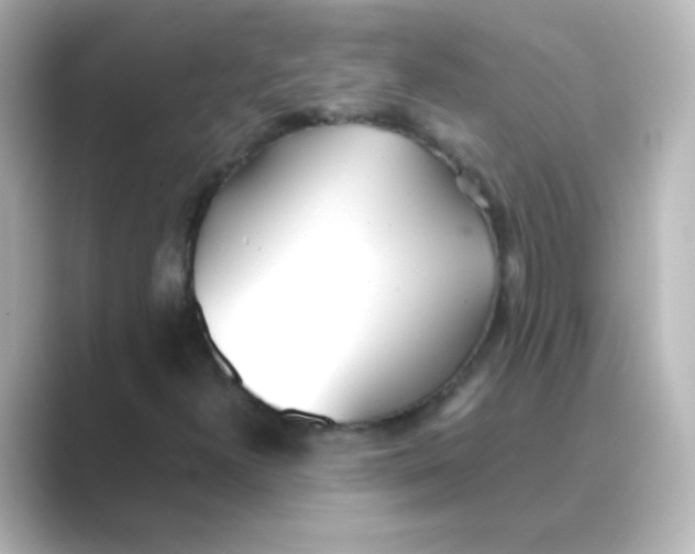 X0000088681300200706211902