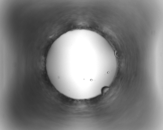 X0000088681301200706211902