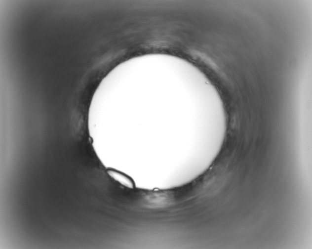 X0000088681303200706211902