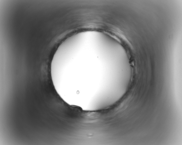 X0000088681304200706211902