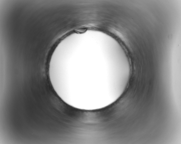 X0000088681308200706211902
