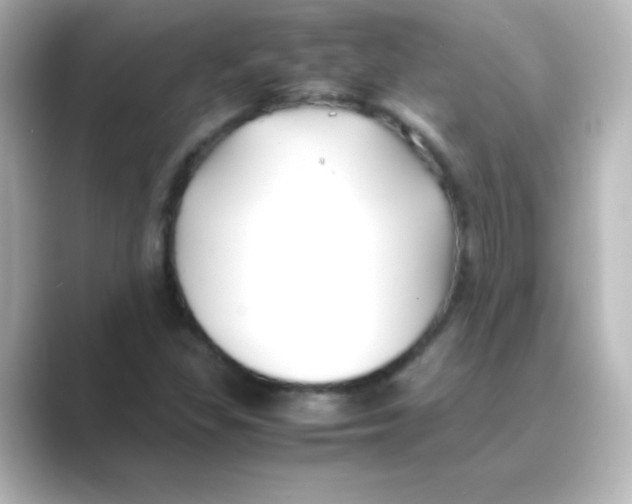 X0000088681309200706211902