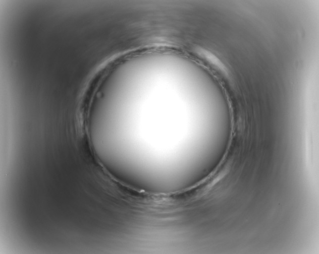 X0000088681310200706211902