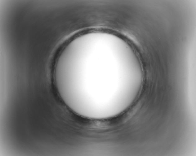 X0000088681311200706211902