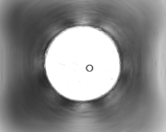 X0000088681314200706211902