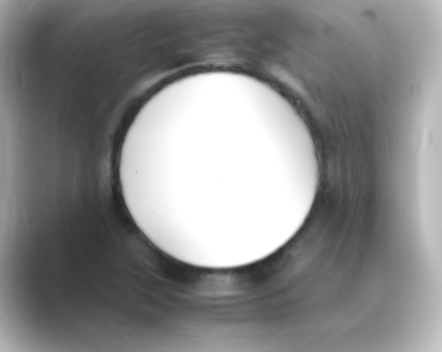 X0000088681315200706211902