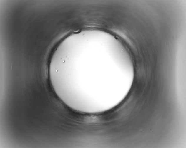 X0000088681317200706211902