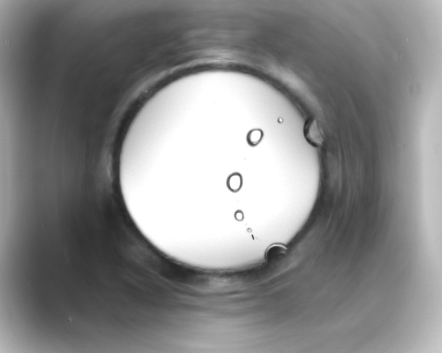 X0000088681318200706211902