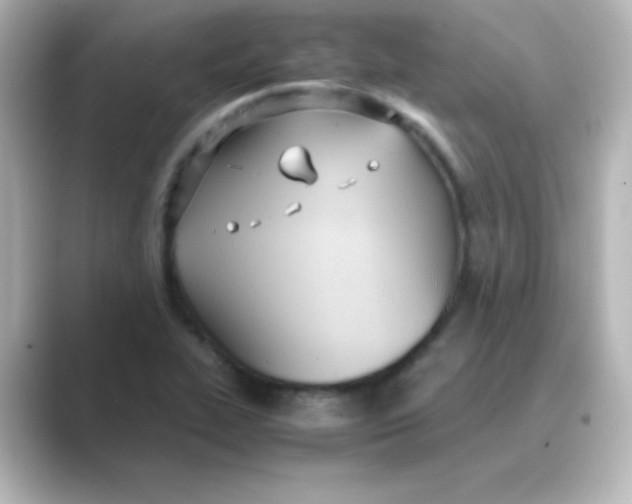 X0000088681319200706211902