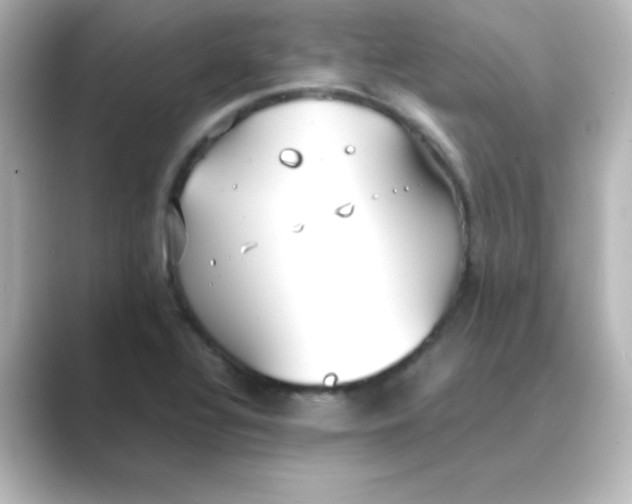 X0000088681320200706211902