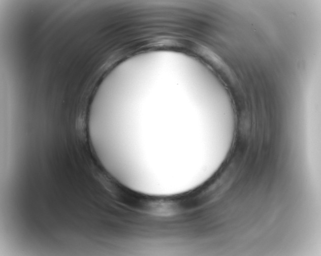 X0000088681321200706211902