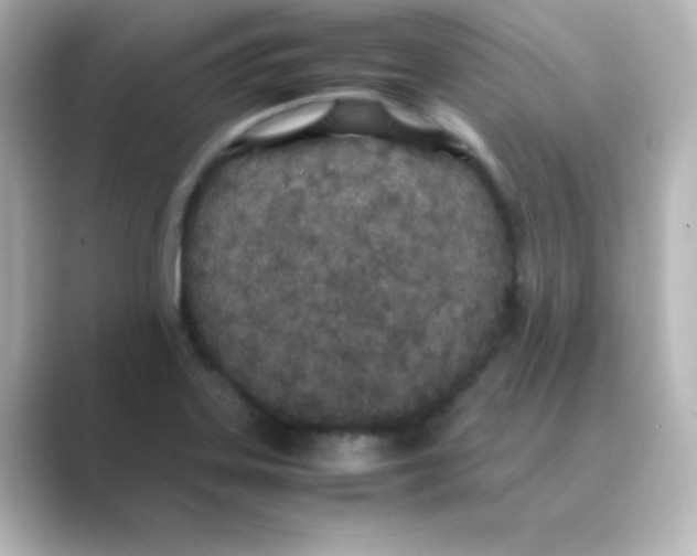 X0000088681323200706211902