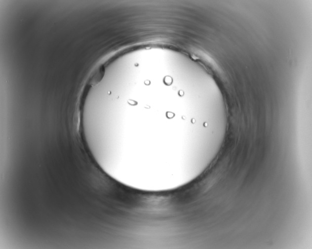 X0000088681324200706211902