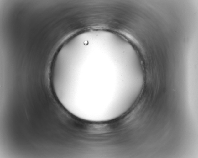 X0000088681325200706211902