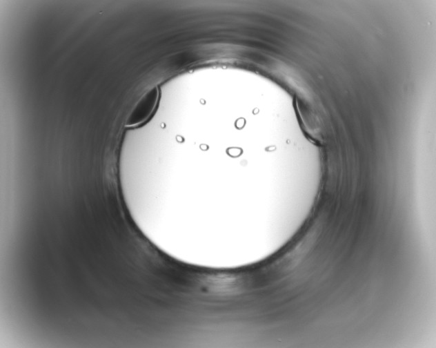 X0000088681329200706211902
