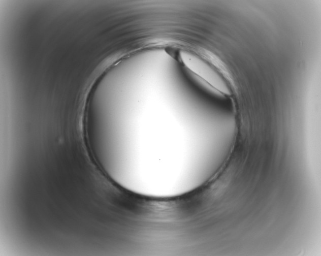 X0000088681330200706211902