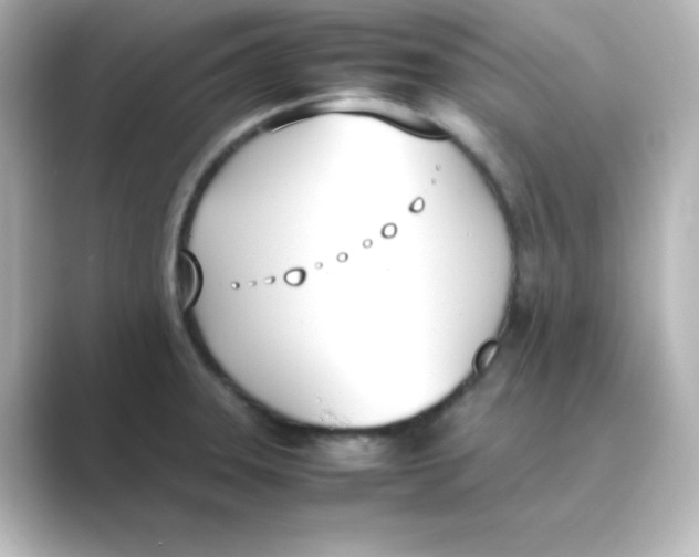 X0000088681331200706211902