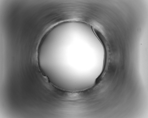 X0000088681332200706211902