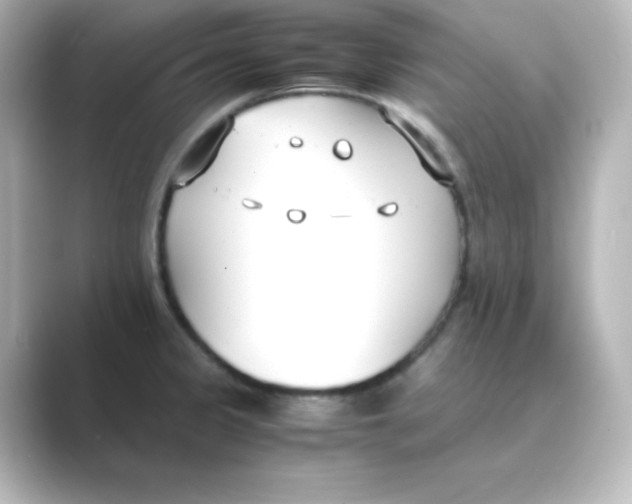 X0000088681333200706211902