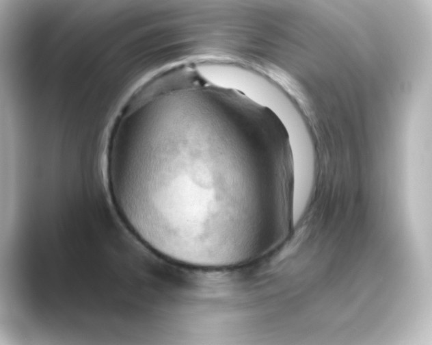 X0000088681334200706211902