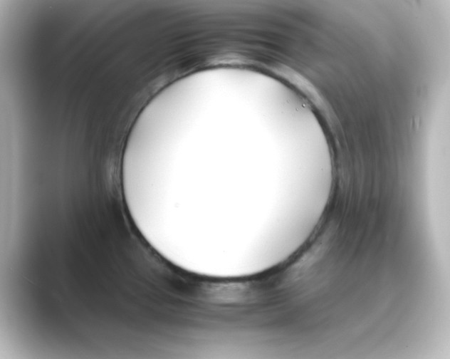 X0000088681337200706211902