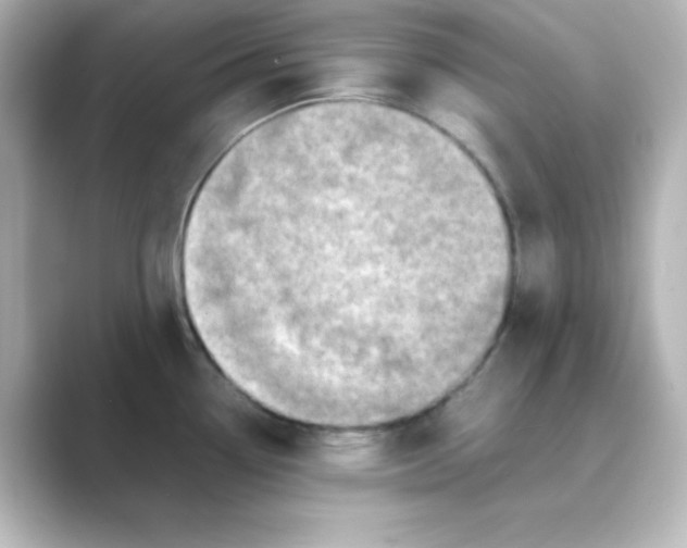 X0000088681338200706211902