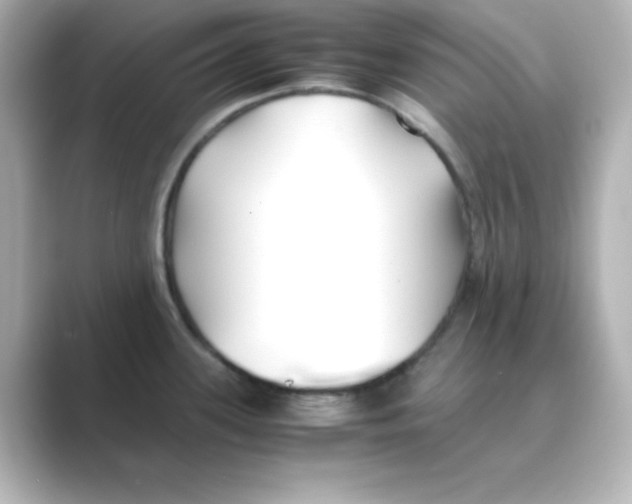 X0000088681339200706211902