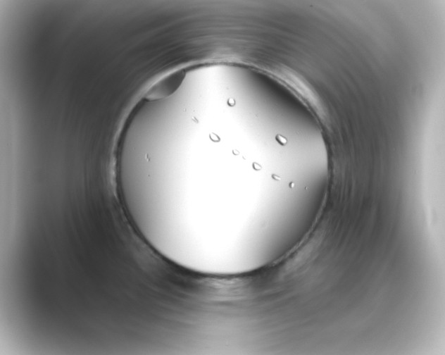 X0000088681340200706211902