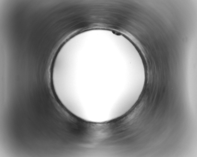 X0000088681341200706211902
