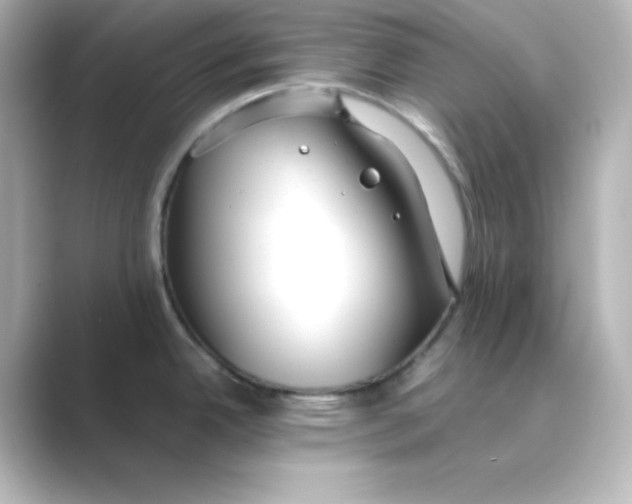X0000088681342200706211902