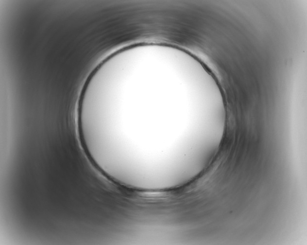 X0000088681343200706211902