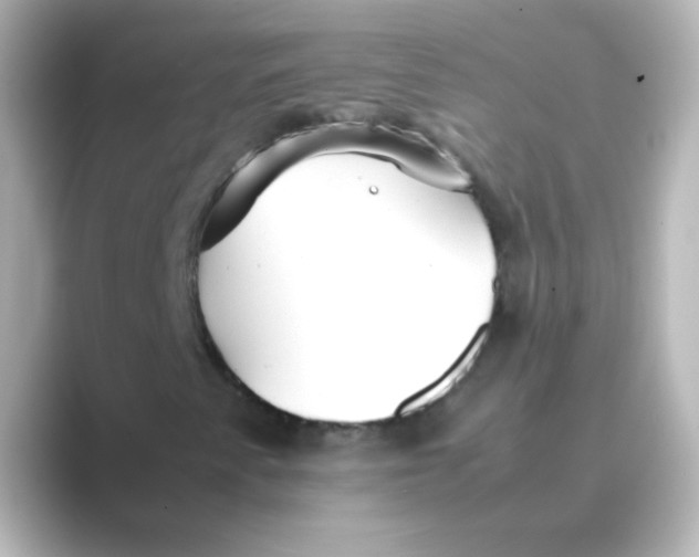 X0000088681345200706211901