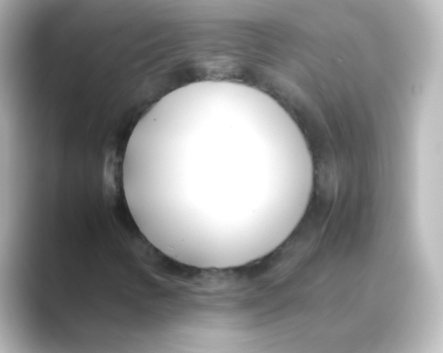 X0000088681346200706211901