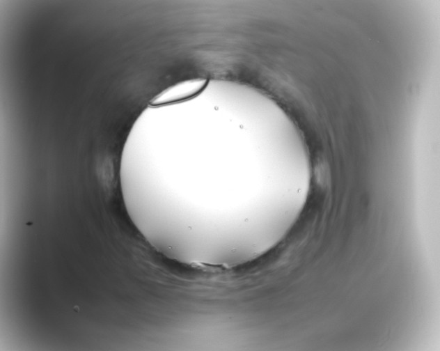 X0000088681347200706211901