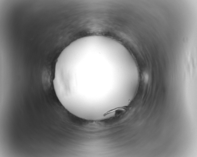 X0000088681348200706211901